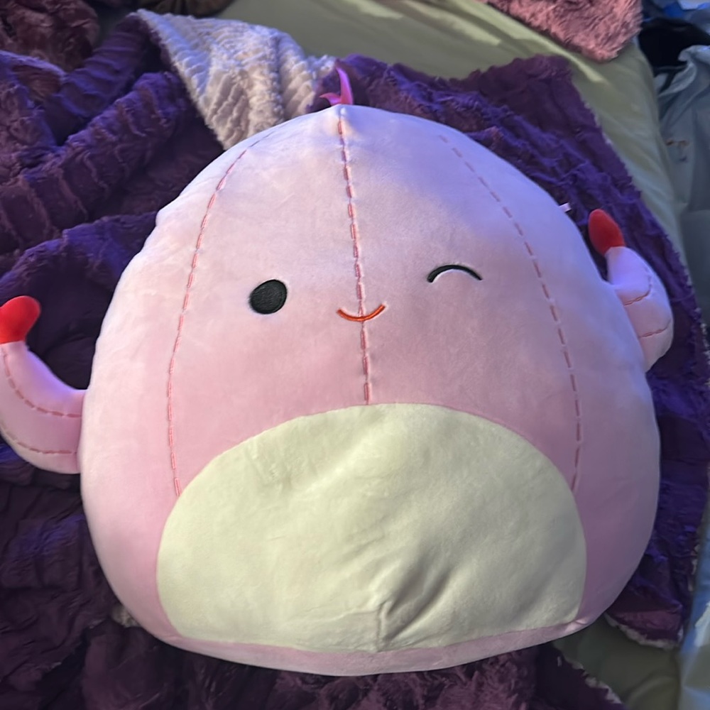 Large Cacey Cactus Squishmallows 16”